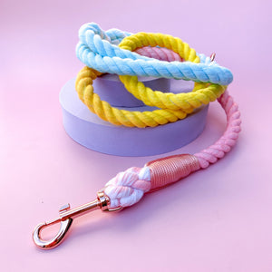 Dizzy Dog Collars | Carnival | Rope Dog Lead