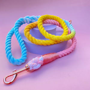Dizzy Dog Collars | Carnival | Rope Dog Lead