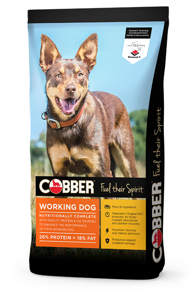 Cobber Working Dog Dry Dog Food Brookies Rural Traders