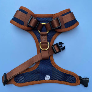 Dizzy Dog Collars | The Coco | Neck Adjustable Dog Harness