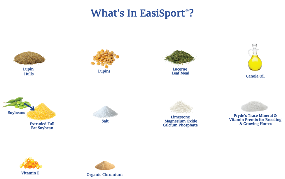 Prydes-easi-sport