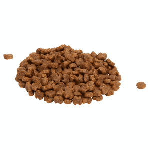 Eukanuba Adult Large Breed Dry Dog Food
