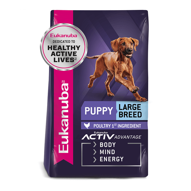 Puppy food for large breeds best sale