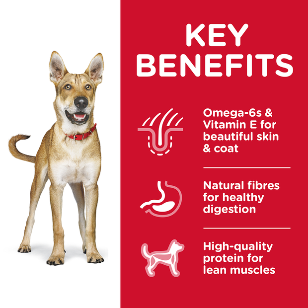 Hills Science Diet Adult Dry Dog Food