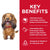 Hills Science Diet Specialty Adult Oral Care Chicken Rice and Barley Recipe Dry Dog Food