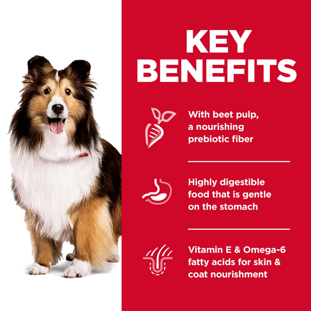 Hills Science Diet Adult Sensitive Stomach and Skin Dry Dog Food
