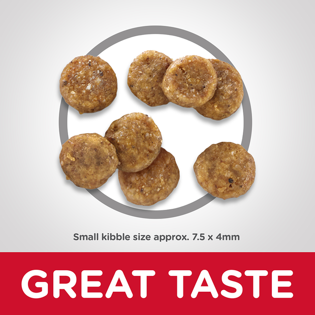 Hill's science diet adult sensitive stomach & skin chicken recipe dry 2024 dog food