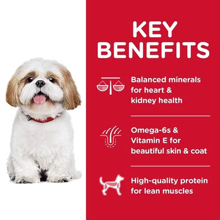 Hills Science Diet Senior Adult 7+ Small Bites Dry Dog Food