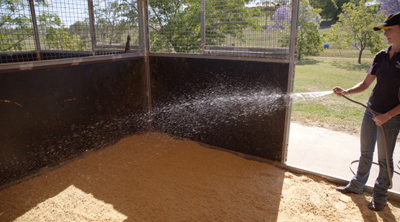 Proteq Equine Bedding