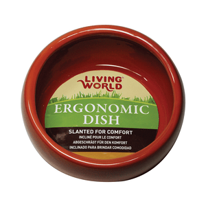 Living World Ceramic Ergonomic Dish