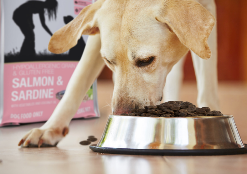 Meals for mutts salmon store and sardine grain free