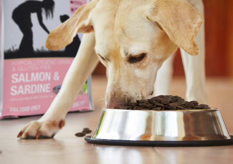 Salmon and hot sale sardine dog food