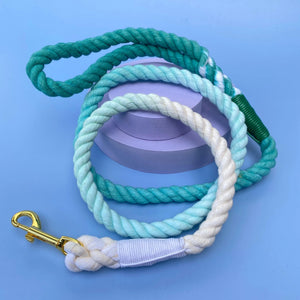 Dizzy Dog Collars | Ombre Teal | Rope Dog Lead