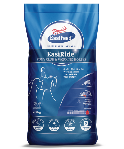 Prydes Easi Ride