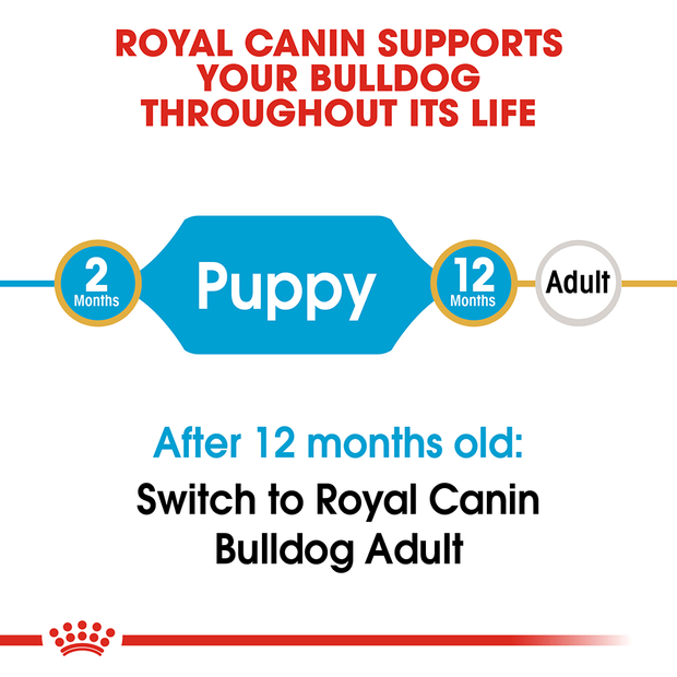 Royal canin bulldog puppy dry dog food hotsell
