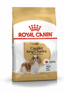 Royal Canin Cavalier King Charles Adult Dry Dog Food