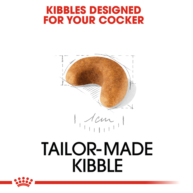 Royal canin online cocker spaniel junior