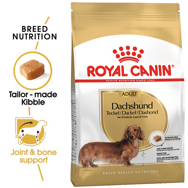 Royal canin dachshund adult dry hot sale dog food