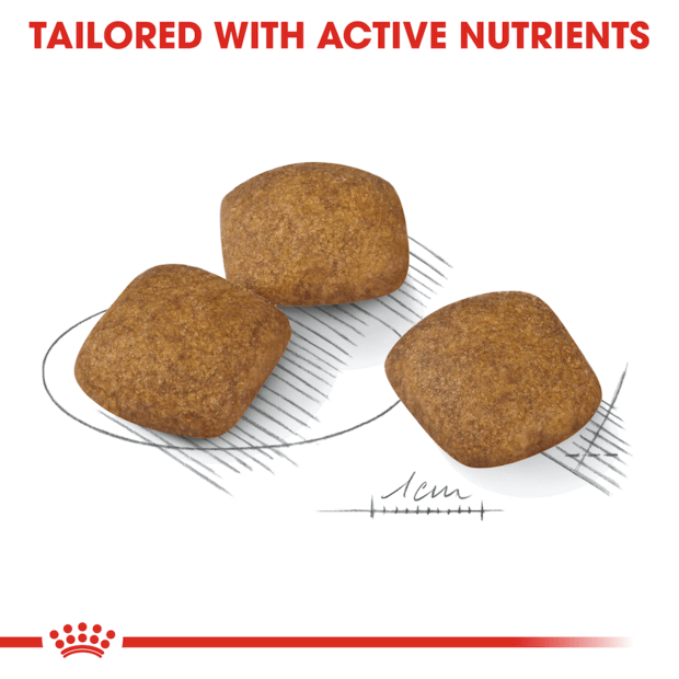 Royal Canin Medium Relax Care Adult Dry Dog Food