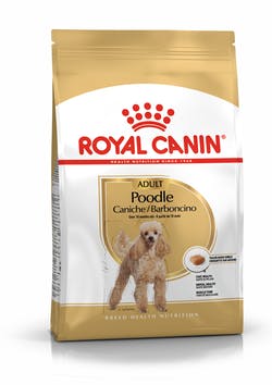 Royal Canin Poodle Adult Dry Dog Food