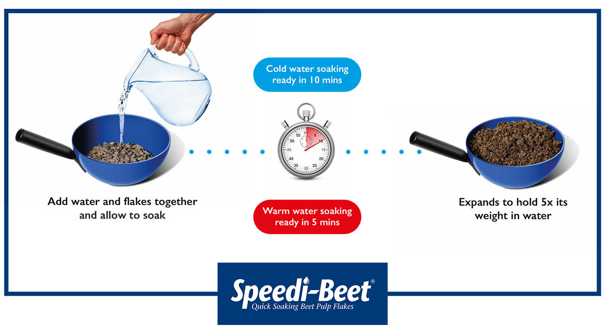 Speedibeet